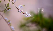 古风的朋友圈说说大全