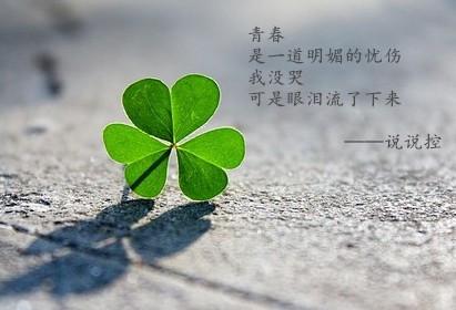 悲伤的歌声