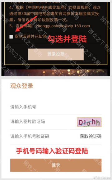 爱的宣言