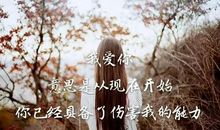 撕心裂肺的伤感爱情说说