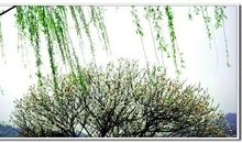 员工升职寄语诗句