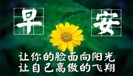 早上好分享正能量语言