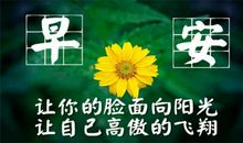 早安分享正能量语言