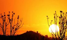 祝自已开心的句子 愿自己每天开心的句子