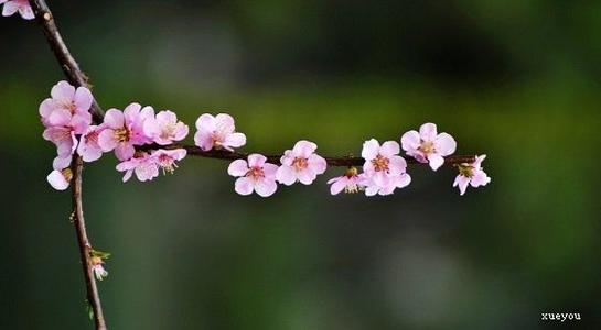 用什么句子描述不愉快的心情？写出不开心的句子1