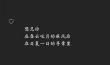 简短情话5个字