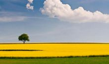 描写心情不开心的句子有哪些 写心情不好的句子