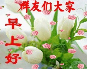 QQ动态谈2020
