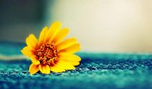 小朋友开学家长开心的句子 小朋友开学家长开心