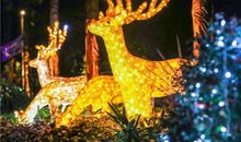 2020抖音网红旅游说说