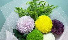 关于和朋友开心的句子 朋友在一起开心的短句