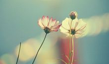 听到笑话开心的句子 一句话笑话逗人开心