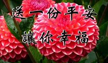 每天的幸福祝福用语