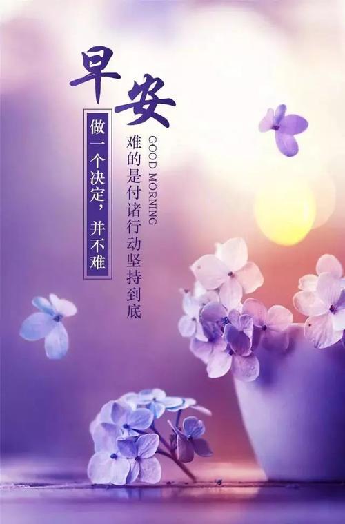 当今经典的正能量行情