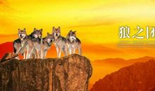 团队一起努力的句子