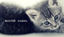 职场人心复杂的说说