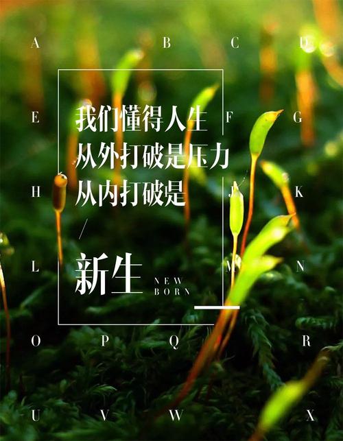早安经典报价