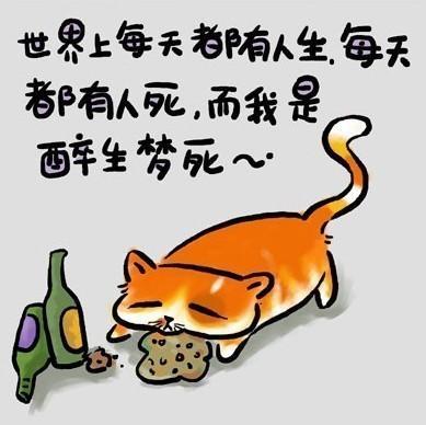 谈论这种无聊的生活