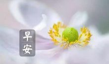 早上好英文句子