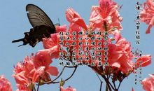 杜鹃花诗词名句