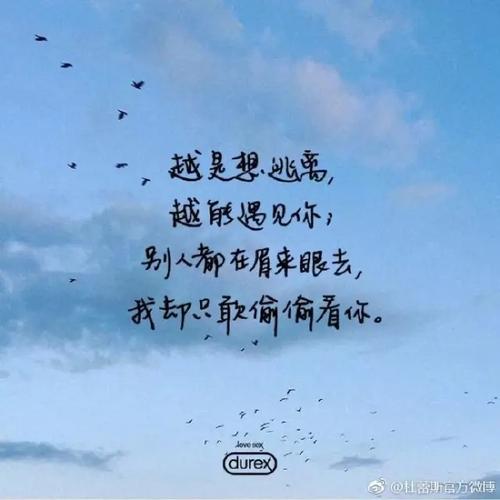 辞职告别诗