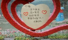 送给女网友的人生用语