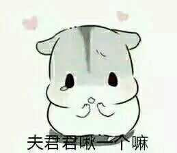代理言语使男友生气