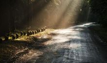 雨后彩虹的励志的句子