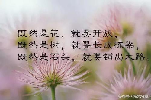 在朋友圈中谈论7月的第一天