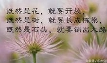 朋友圈七月第一天的说说