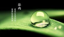 谷雨微信朋友圈说说
