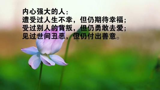 经典早安正能量短句