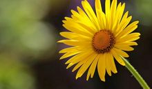 哄爸爸开心的句子 父亲节逗父亲开心的句子