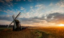 逗人开心感动人的句子 一句话笑话逗人开心