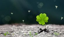 只要开心就好的句子 活在当下开心就好的说说