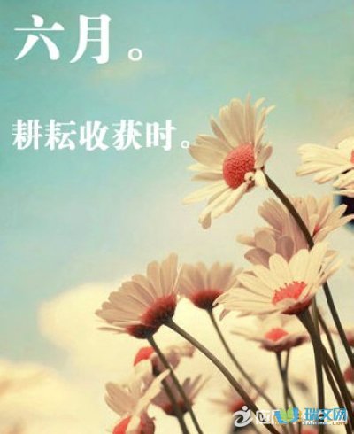 祝公务员考试顺利