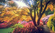 春天到来的开心句子 春天开心快乐的句子