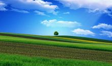 早安最开心的句子 早安开心的句子朋友圈