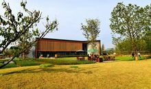 形容开心总在不经意间的句子 开心总在不经意的时候