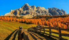 开心就好的句子 顺其自然开心就好的句子