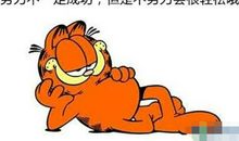 别人的成功都是特例，所以你就可以不努力了？