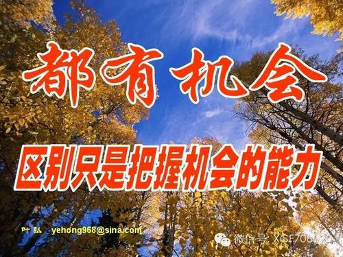 其实，你缺少的不是机会