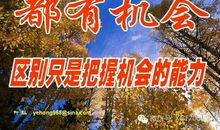 其实，你缺的不是机会