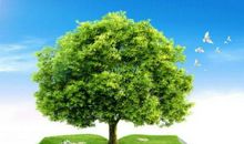 不给自己设限，人生才会有更多可能