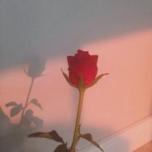 经典语录：如果您不露光，就不应该怪别人看不见