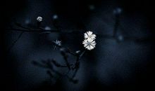 为什么你如此聪明却混得一般？