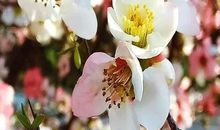 话有三不说，事有三不做，人有三不交