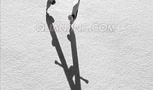 经典语录：圆规为什么能画圆？因为脚在走，心不变