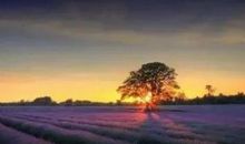 人生35,可不可以重新洗牌?