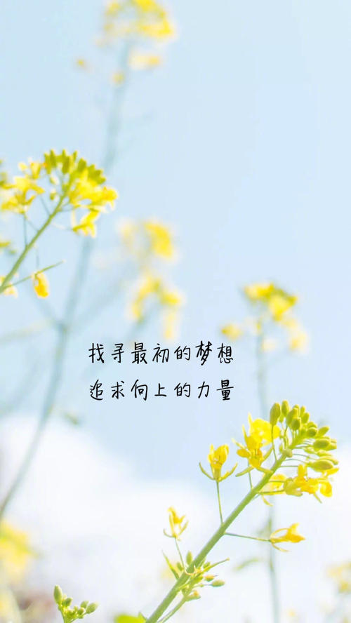 早安信息：爱就像一阵风，但爱却源源不断